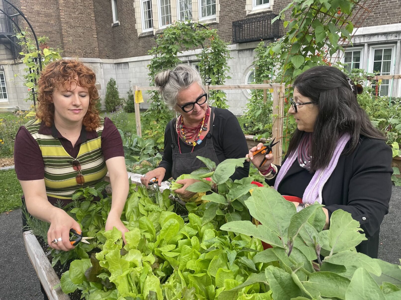 A colour photograph of 3 people in a lush green garden. They chat while their hands are busy with the plants.