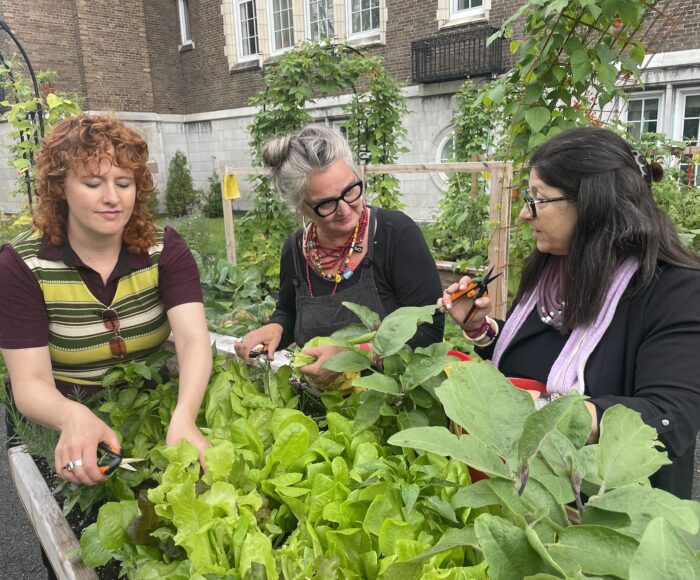 A colour photograph of 3 people in a lush green garden. They chat while their hands are busy with the plants.